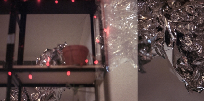 28 Border Collapse meets Shakhta, Karnola, Hranice